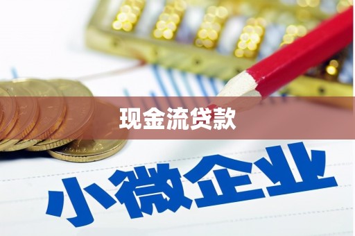 东宝现金流贷款