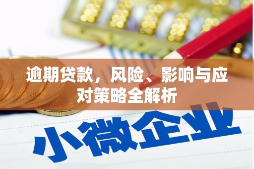 埇桥逾期贷款，风险、影响与应对策略全解析