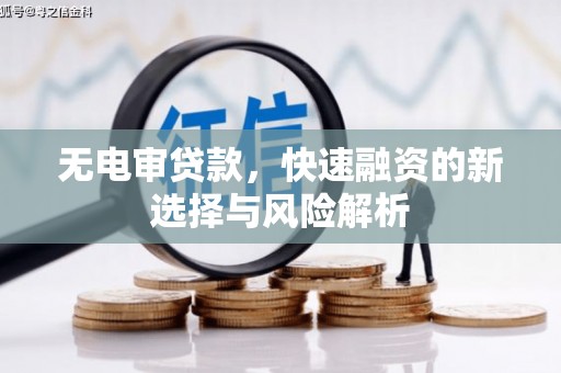 茶陵无电审贷款，快速融资的新选择与风险解析