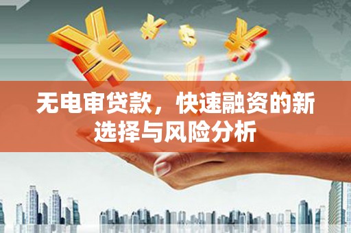 谢岗无电审贷款，快速融资的新选择与风险分析