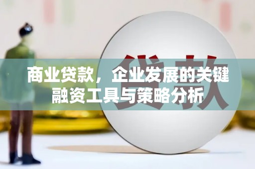 谢岗商业贷款，企业发展的关键融资工具与策略分析