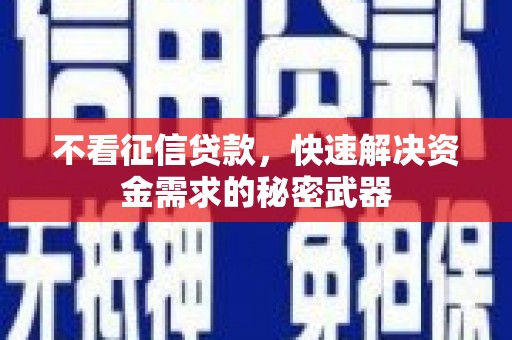 离岛不看征信贷款，快速解决资金需求的秘密武器
