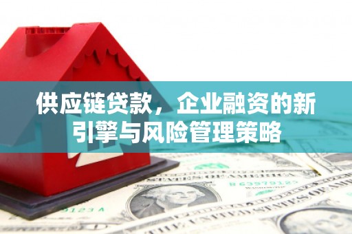 离岛供应链贷款，企业融资的新引擎与风险管理策略