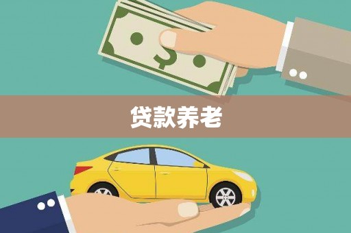 离岛贷款养老