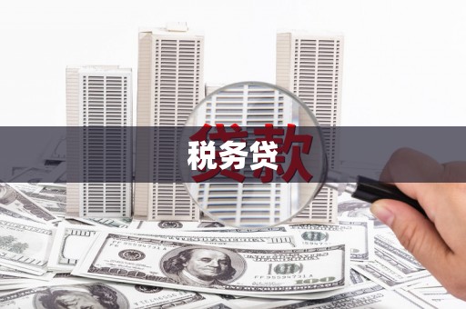 离岛税务贷