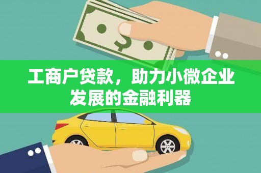 离岛工商户贷款，助力小微企业发展的金融利器