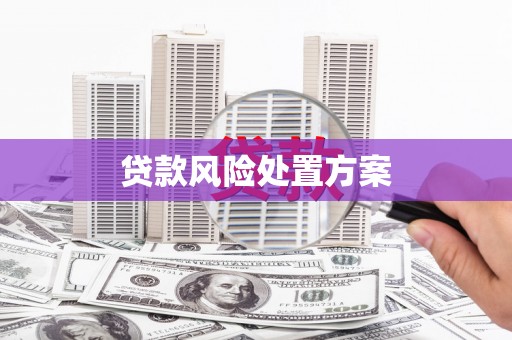 燕郊贷款风险处置方案