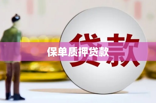 离岛保单质押贷款