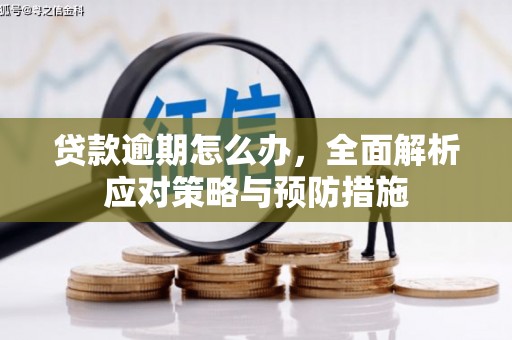 离岛贷款逾期怎么办，全面解析应对策略与预防措施