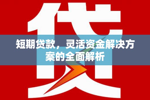 雷山短期贷款，灵活资金解决方案的全面解析