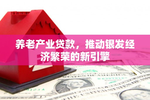 白沙养老产业贷款，推动银发经济繁荣的新引擎