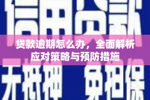 临县贷款逾期怎么办，全面解析应对策略与预防措施