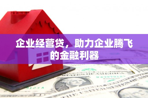 武山企业经营贷，助力企业腾飞的金融利器
