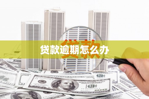 会同贷款逾期怎么办