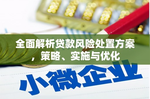 会同全面解析贷款风险处置方案，策略、实施与优化