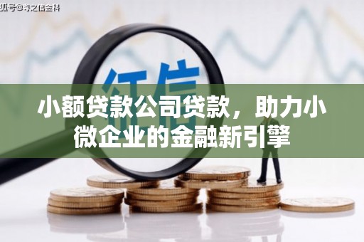 西盟小额贷款公司贷款，助力小微企业的金融新引擎