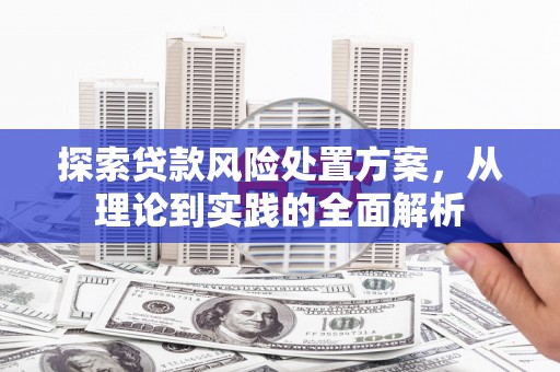 会同探索贷款风险处置方案，从理论到实践的全面解析
