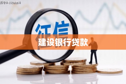 盐边建设银行贷款