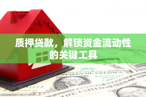 民众质押贷款，解锁资金流动性的关键工具