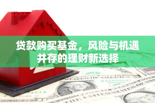 雷山贷款购买基金，风险与机遇并存的理财新选择