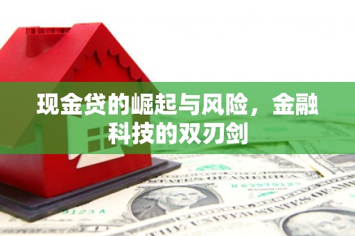 布袋现金贷的崛起与风险，金融科技的双刃剑