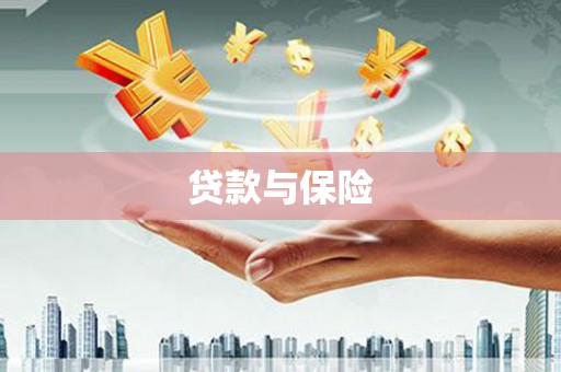 布袋贷款与保险