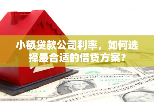 阿拉山口小额贷款公司利率，如何选择最合适的借贷方案？