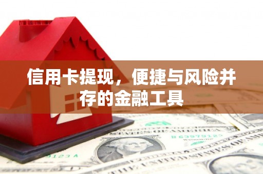 埇桥信用卡提现，便捷与风险并存的金融工具