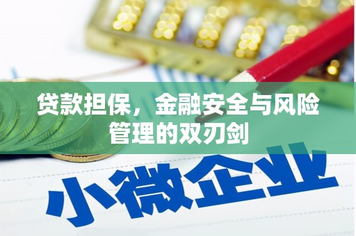 鄂城贷款担保，金融安全与风险管理的双刃剑