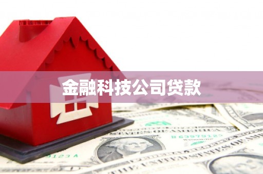 右玉金融科技公司贷款