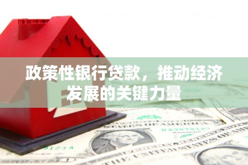 博望政策性银行贷款，推动经济发展的关键力量