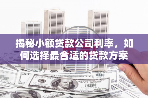 东石揭秘小额贷款公司利率，如何选择最合适的贷款方案