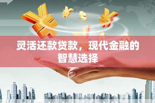 宿松灵活还款贷款，现代金融的智慧选择