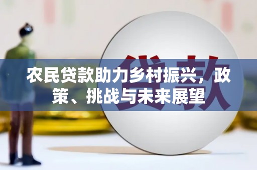 尼玛农民贷款助力乡村振兴，政策、挑战与未来展望
