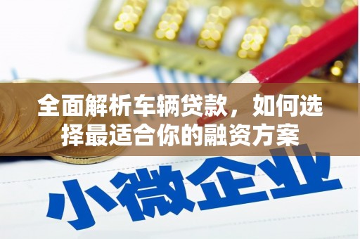 尼玛全面解析车辆贷款，如何选择最适合你的融资方案