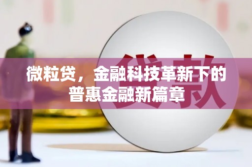 泸州微粒贷，金融科技革新下的普惠金融新篇章