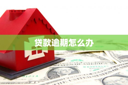 邱县贷款逾期怎么办