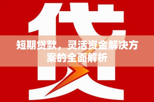 普兰短期贷款，灵活资金解决方案的全面解析