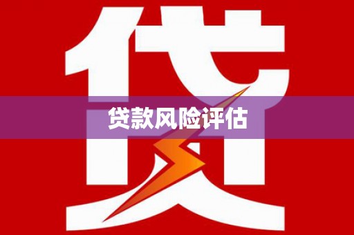 雾台贷款风险评估