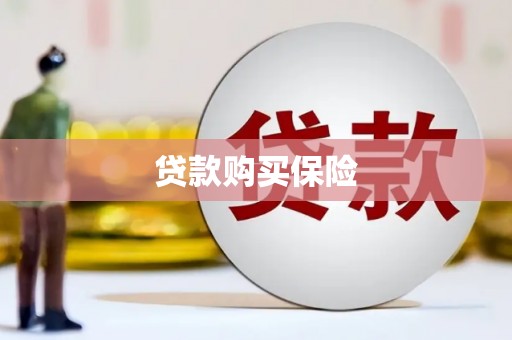 密云贷款购买保险
