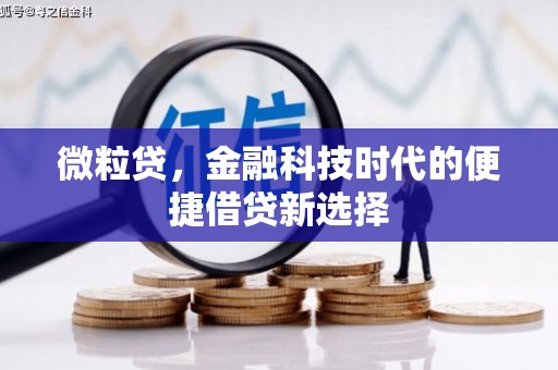 张店微粒贷，金融科技时代的便捷借贷新选择