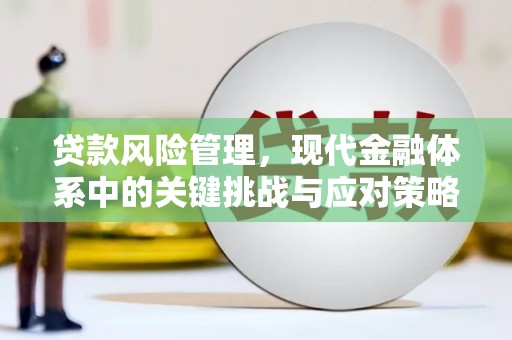 钟祥贷款风险管理，现代金融体系中的关键挑战与应对策略
