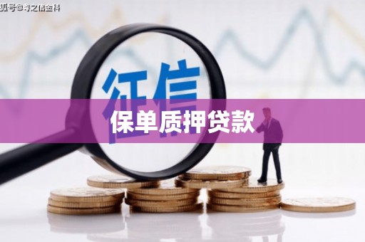 潜山保单质押贷款