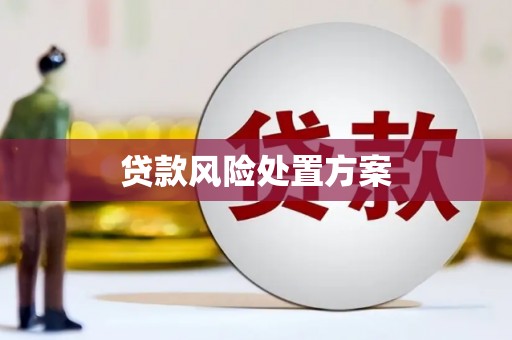 汉阳贷款风险处置方案