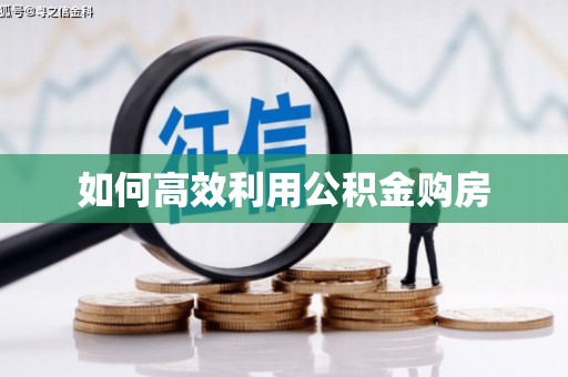 芦山如何高效利用公积金购房