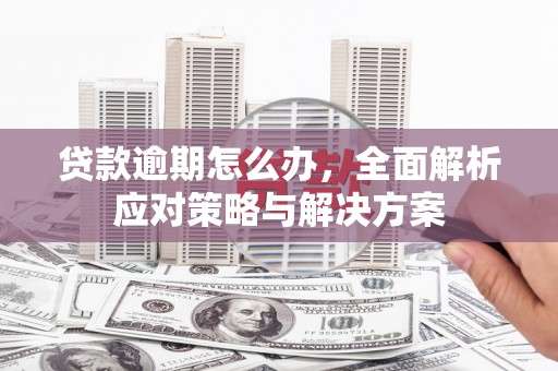 普兰贷款逾期怎么办，全面解析应对策略与解决方案