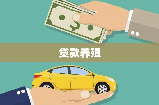 坪山新区贷款养殖