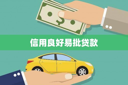 金阳信用良好易批贷款