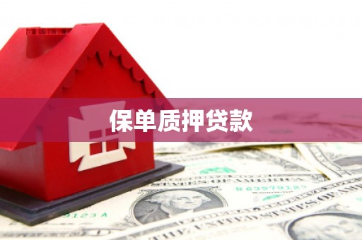 利津保单质押贷款
