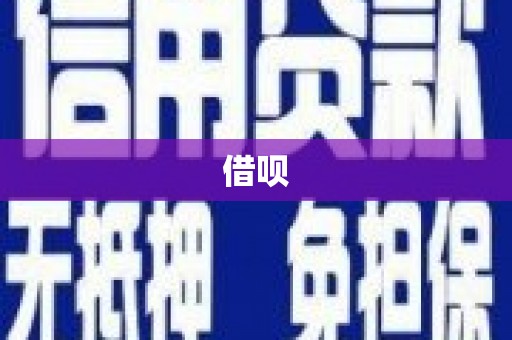 金阳借呗